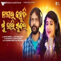 Nagara Kahuchi Mun Bhari Sundara