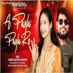 A Pagla Pagla Re